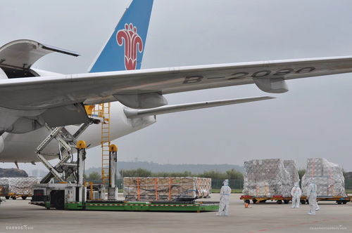 南航快運 等國際產品上線 助力航空物流提速